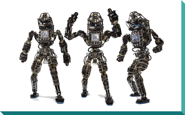 Section 6 mit robots