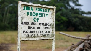 Zika Forest in Uganda