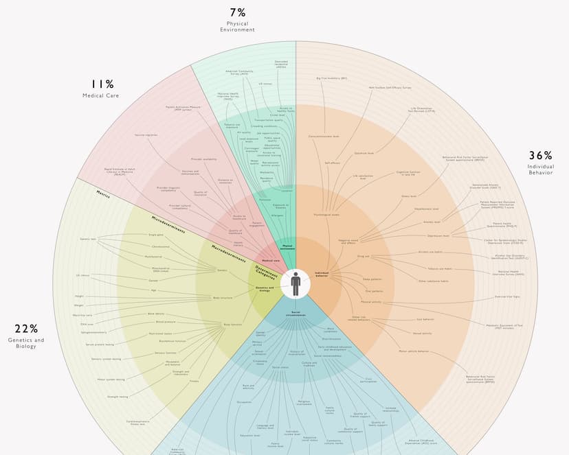 Information visualizations