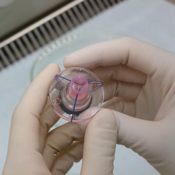 Synthetic biology