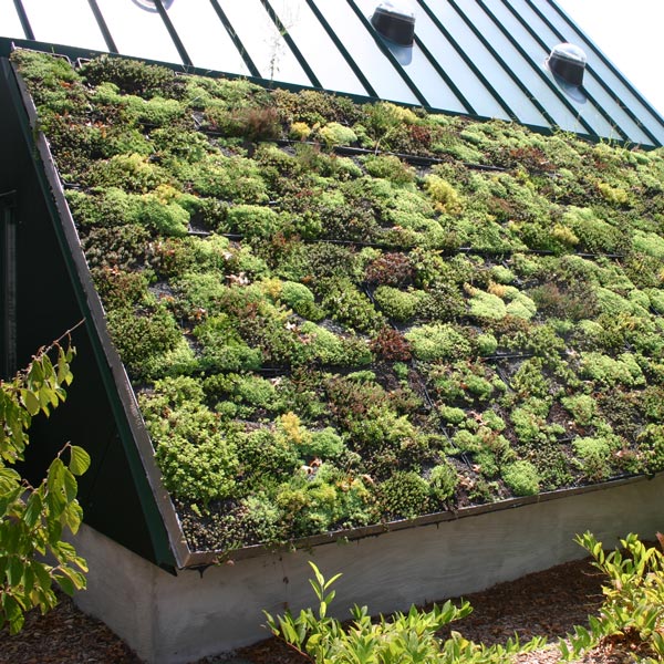 Vertical farming